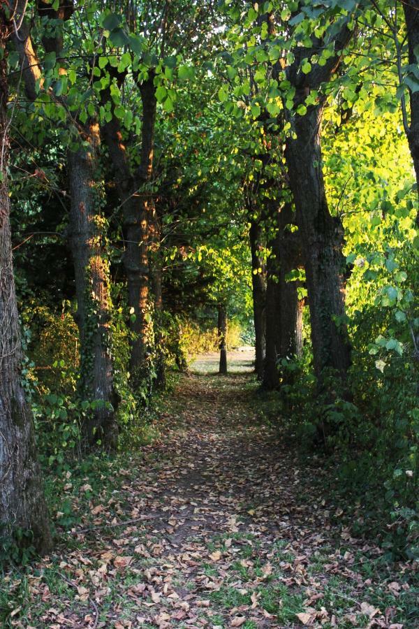 Domaine Des Lilas Saint-Germain-Lembron エクステリア 写真