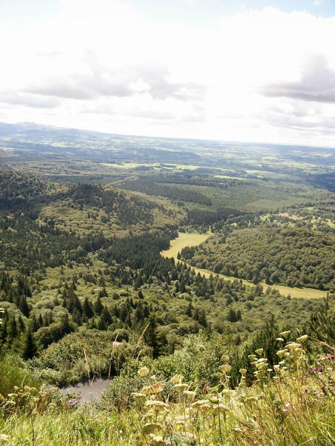 Domaine Des Lilas Saint-Germain-Lembron エクステリア 写真