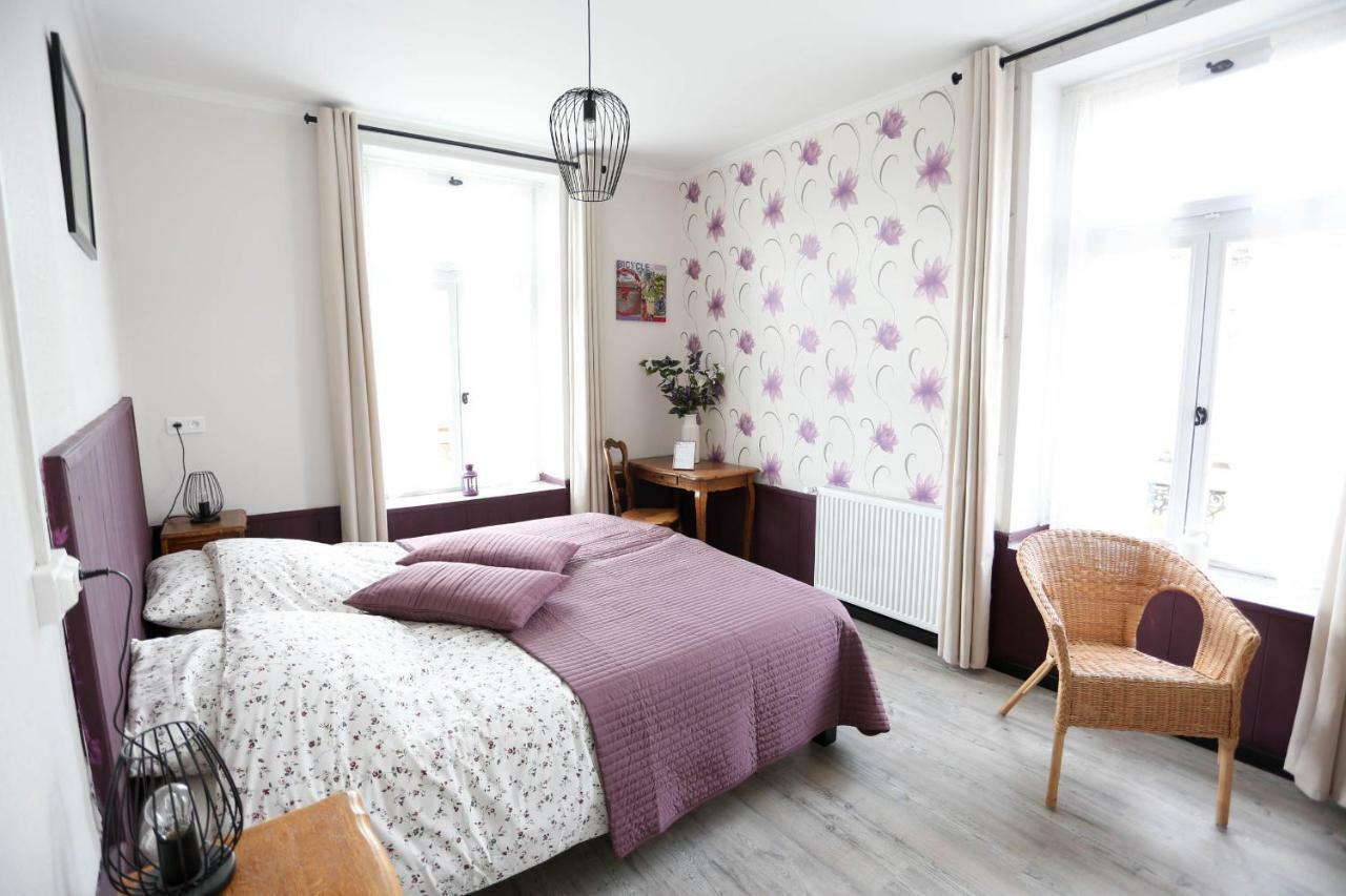 Domaine Des Lilas Saint-Germain-Lembron エクステリア 写真